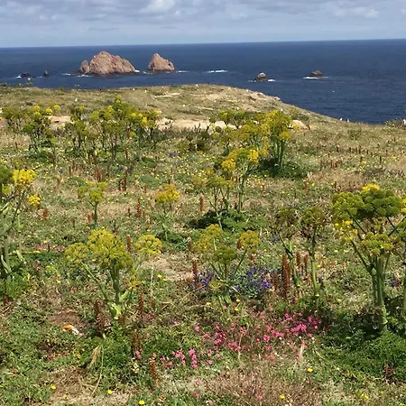 Family With Terrace And Pool *